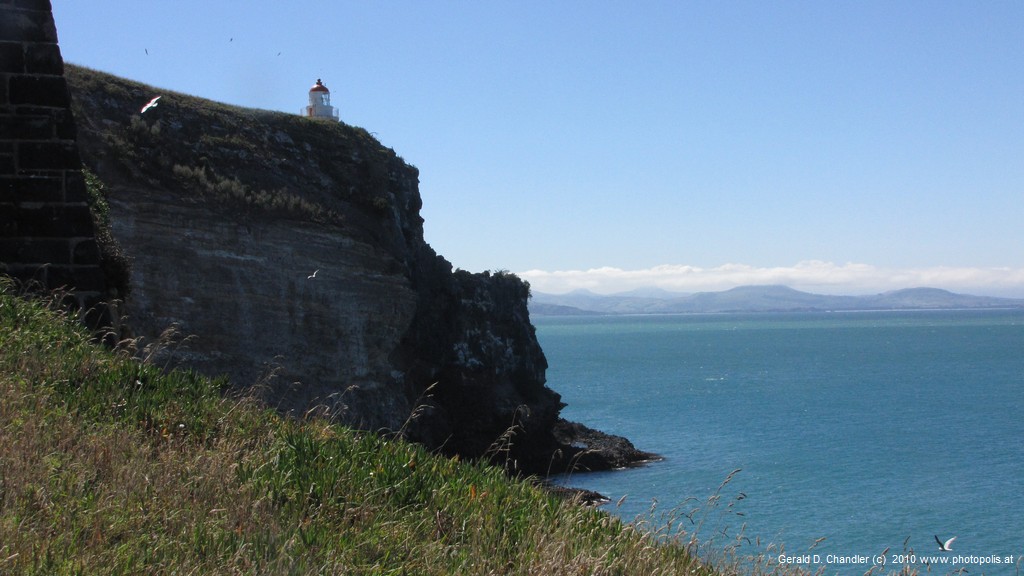 Taiaroa Head - The End of the Otago Penisula